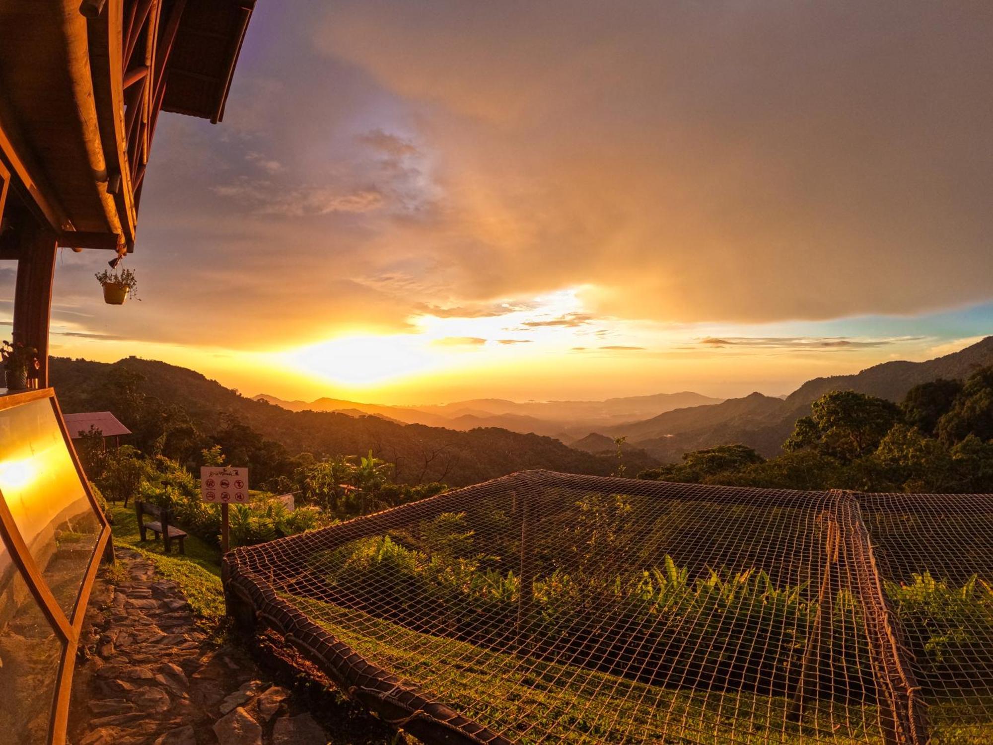 Loma Nevada Minca Hotel Ngoại thất bức ảnh